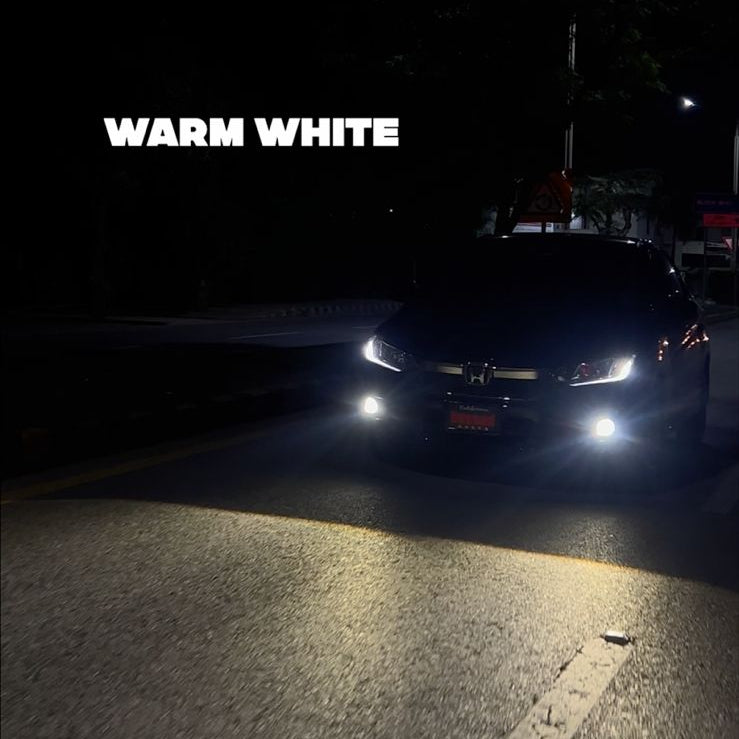 Auto Essence PROJECTORS + 3 Colors + Hi/Low